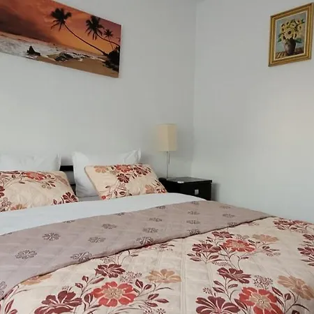 아파트 Brancoveanu Apartament's