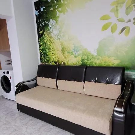 Brancoveanu Apartament's Lägenhet Bukarest