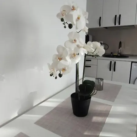 Brancoveanu Apartament's Lejlighed