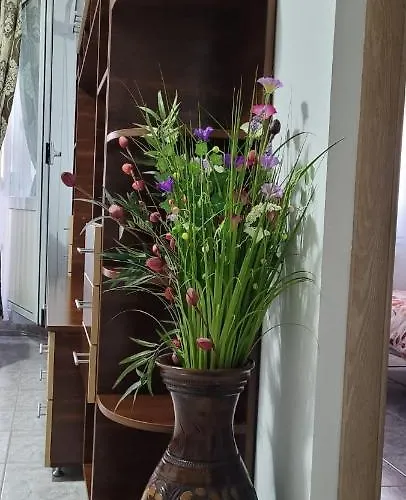 Brancoveanu Apartament's * Bukurešť