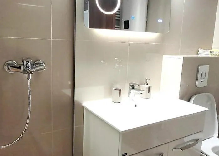 Brancoveanu Apartament's Appartamento