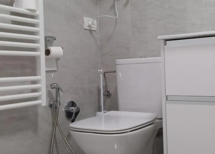 아파트 Brancoveanu Apartament's *