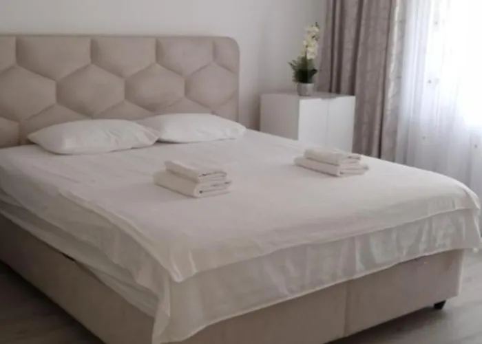 アパート Brancoveanu Apartament's