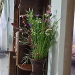 Brancoveanu Apartament's * Bukurešť