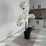 Brancoveanu Apartament's アパート