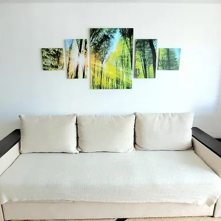 Brancoveanu Apartament's Appartement Boekarest